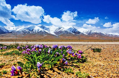 万里独行 从青海到西藏看正在消失的风景_旅游频道_国内游_腾讯·大楚网