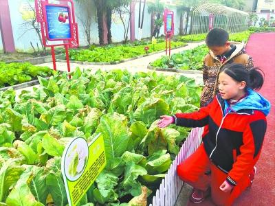 武汉已建成120所园林式学校 绿化达到公园标准