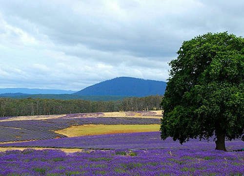 在被上帝遗忘的角落 感受最原始的浪漫_旅游频