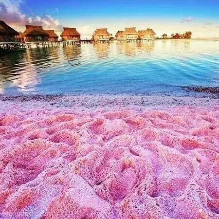 少女心炸裂，这些粉色沙滩你看过没?