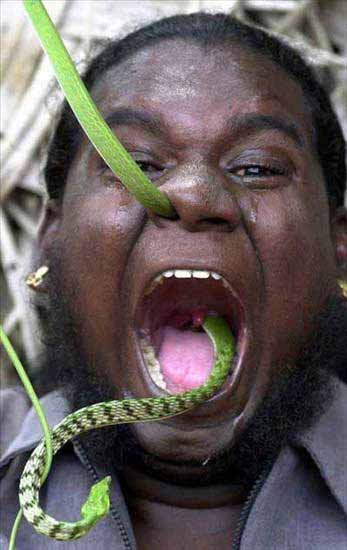 泰国眼镜蛇村 人与蛇和谐相处之地-泰国,眼镜蛇