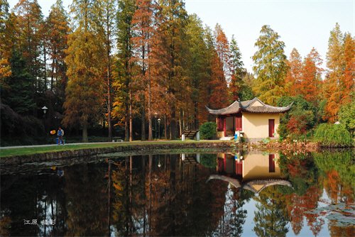 发现湖北之美 中科院武汉植物园