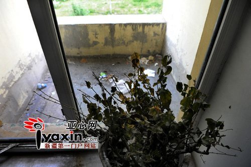 高考再次失利 乌鲁木齐复读女生跳楼身亡