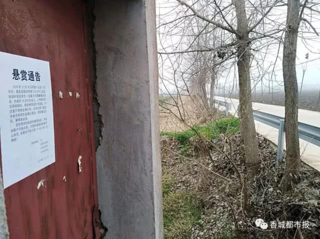 悬赏10万求线索！湖北女子出门散步 离奇受重伤