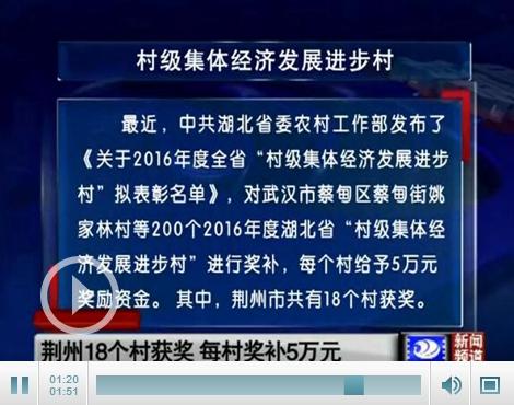 荆州18年经济总量_荆州古城(2)
