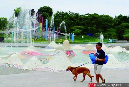 上海带宠物狗进公园要收30元门票