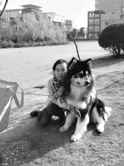 武汉80后女孩寻犬38天 千里赴常州赎回(图)