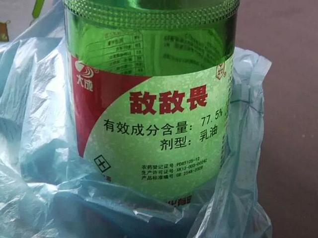 女子在情人家服毒自尽 背后原因让人痛心又愤怒