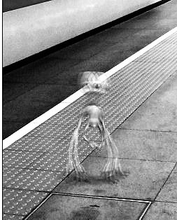 汉口火车站拍到外星人 原来是拍照软件处理而