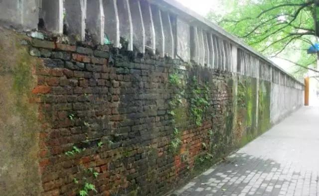 这八条网红马路 撑起了整个武汉的颜值