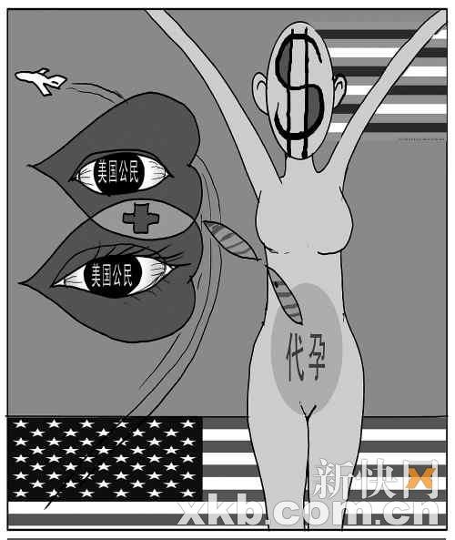 中国人借美国人腹生子 投资回报比抢银行高_理