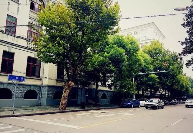 这八条网红马路 撑起了整个武汉的颜值