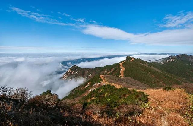 湖北将重点扶持这10个乡村 快看看有没有你家乡