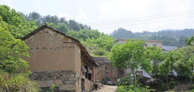 8,黄冈市麻城市黄土岗镇桐枧冲村茯苓窝