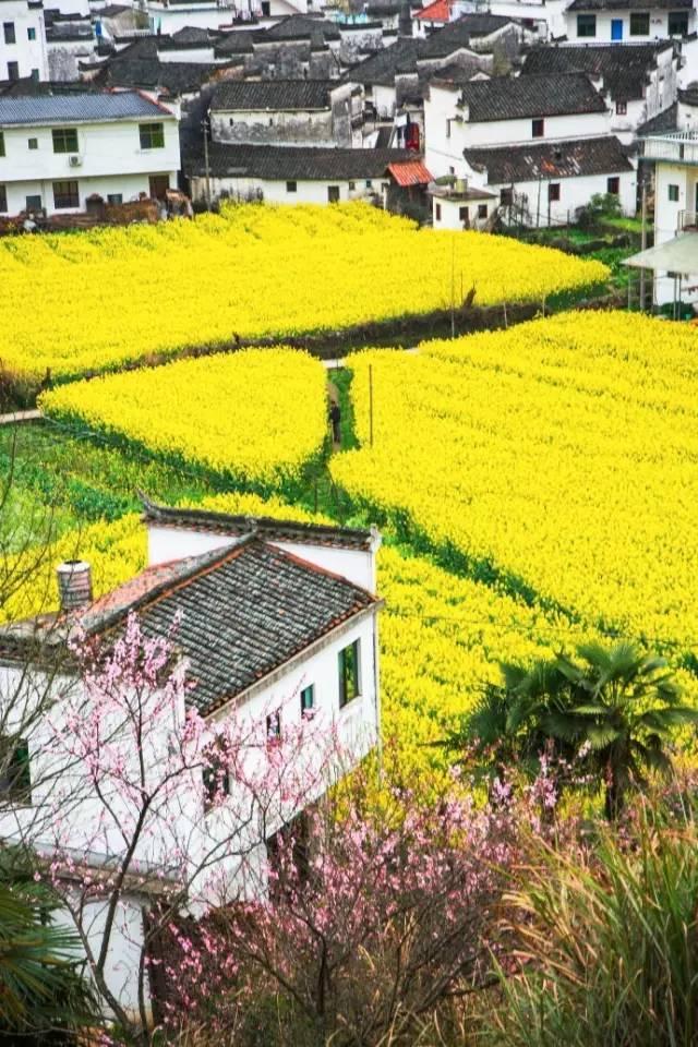 清明踏春好去處 8個(gè)絕美旅行地春光旖旎等你來(lái)！