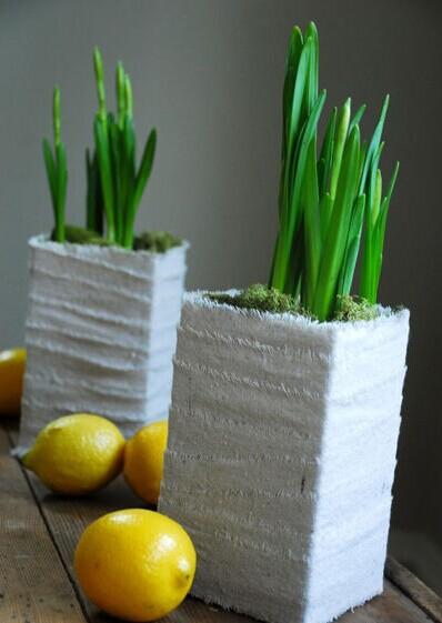 绿里奇迹 用创意盆栽打造花园居室