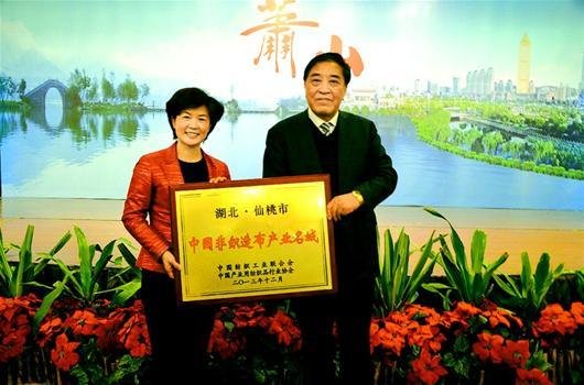成全湖北彭场镇仙桃教程探秘球无纺布小镇龙头v教程产业男子图片