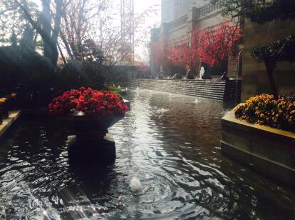 荆州恒大翡翠华庭:雪后的晴天最适合来这里游