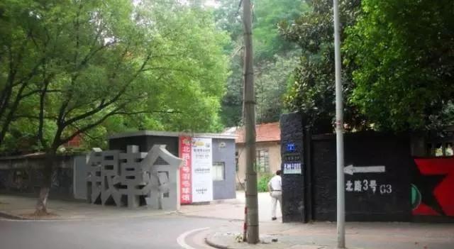 这八条网红马路 撑起了整个武汉的颜值