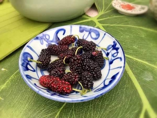90后美女爆改60平米出租屋 房子是租来的但生活不是!