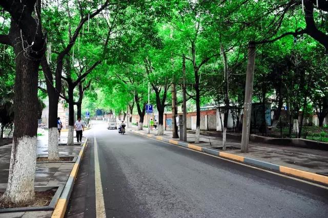 这八条网红马路 撑起了整个武汉的颜值