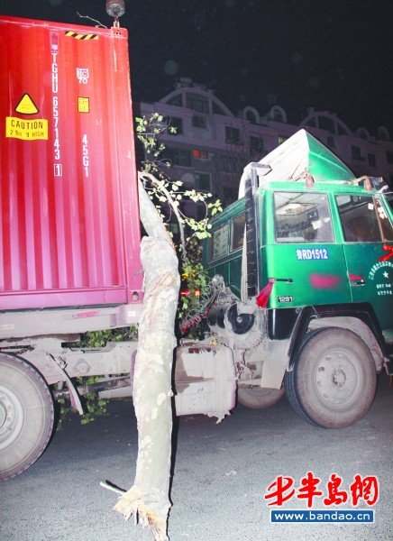 集装箱货车卸下大树胳膊
