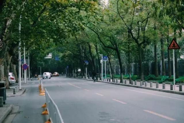 这八条网红马路 撑起了整个武汉的颜值