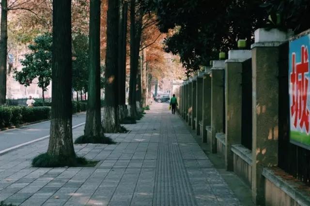 这八条网红马路 撑起了整个武汉的颜值