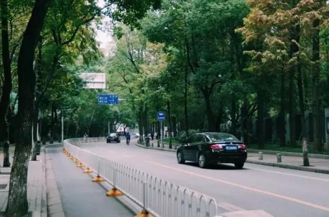 这八条网红马路 撑起了整个武汉的颜值