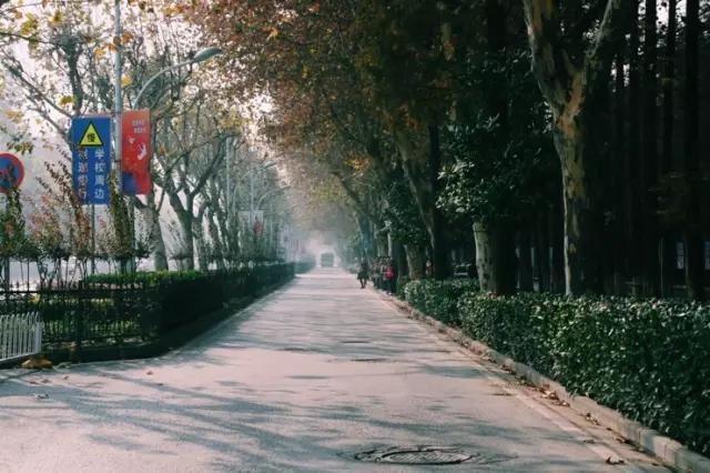 这八条网红马路 撑起了整个武汉的颜值