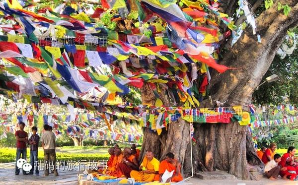 尼泊尔佛祖诞生地竟有中国第一座建在国外的寺庙