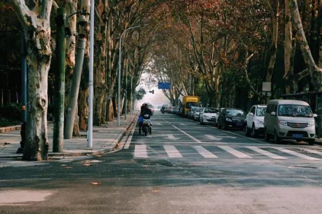 这八条网红马路 撑起了整个武汉的颜值