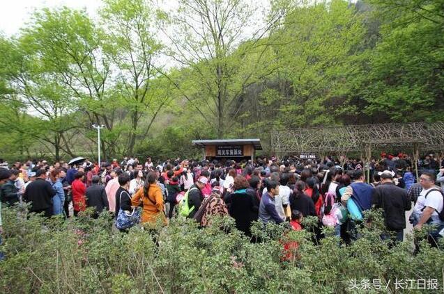 武汉两景区发红色预警：游客太多 请去其他景点