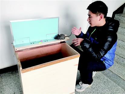 武汉高中生发明捕鼠神器登上央视 获世界金奖