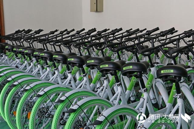 武汉本土小绿车宣布加入共享单车市场