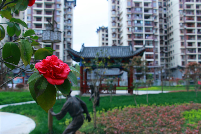 最美的花园小区 147551558.png