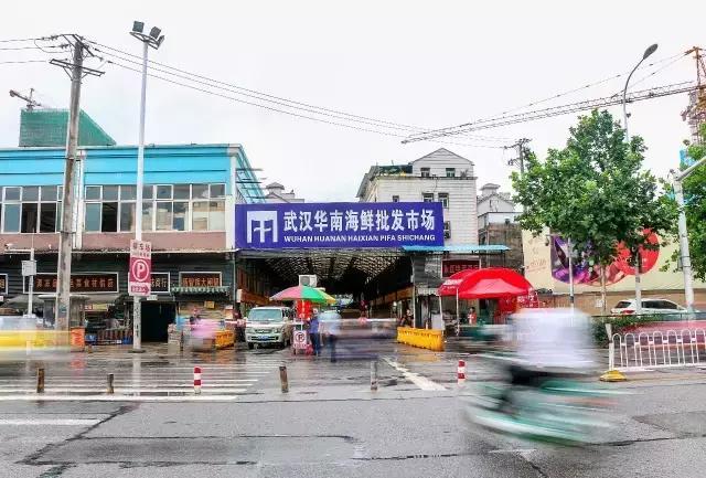 逛遍武汉最大海鲜市场 get一份靠谱海鲜指南!