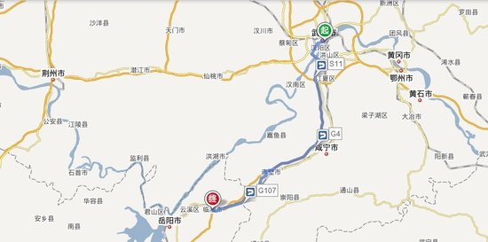 从武汉到临湘高速公路路线地图图片
