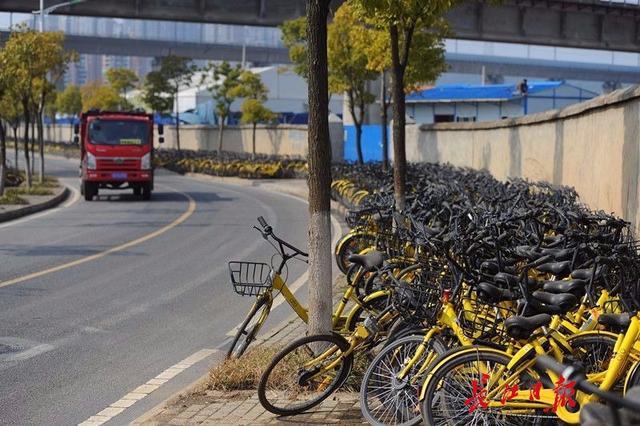 万辆共享单车现身三环外 运营方:集中清理维修