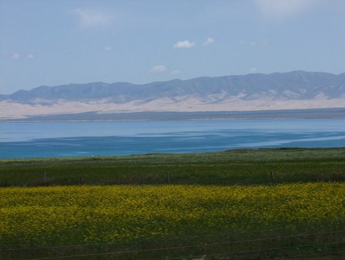 武汉达人8天自驾青海湖 有吃有看有的玩