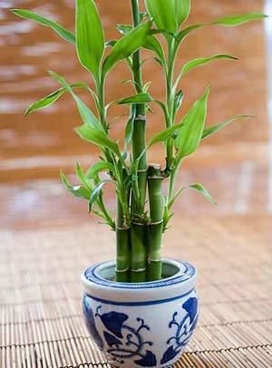 不可不信邪 装修最容易忽视的风水误区(组图)