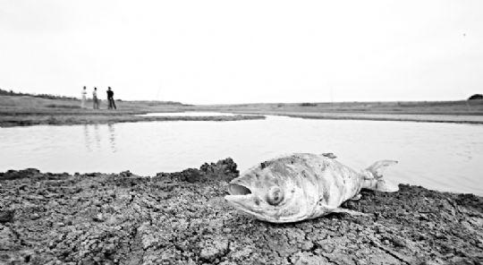 湖北主要干旱地区雨量仍缺 近80万人饮水难