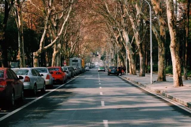 这八条网红马路 撑起了整个武汉的颜值