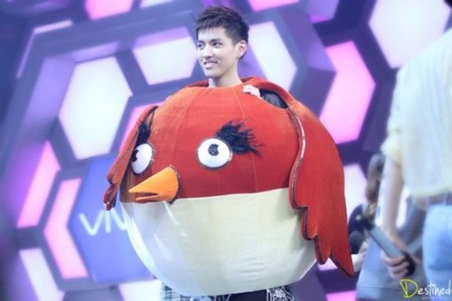 EXO携新专辑录快乐大本营 鹿晗吴世勋扑倒拼