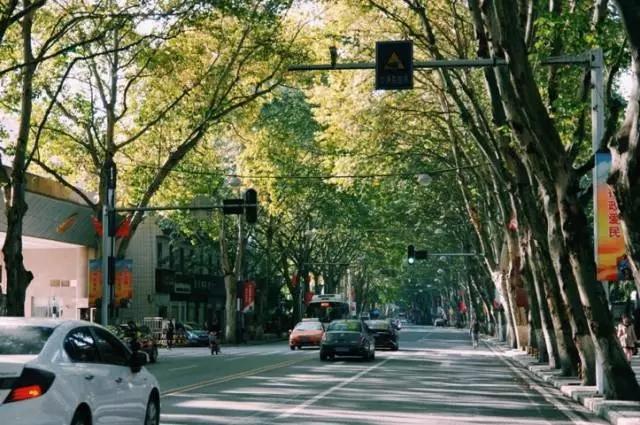 这八条网红马路 撑起了整个武汉的颜值