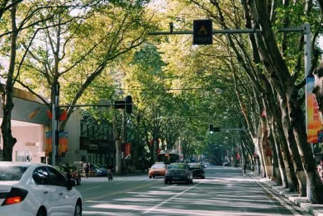 这八条网红马路 撑起了整个武汉的颜值