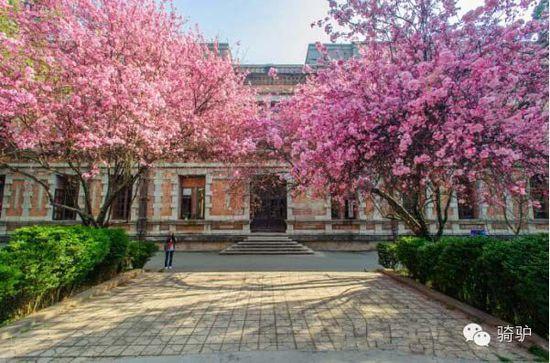 中国最美大学 来场致青春的书香之旅