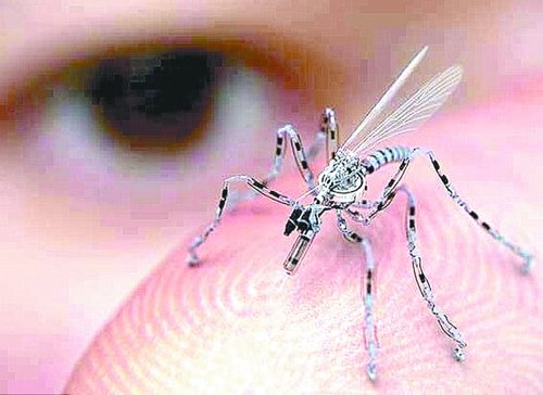 仿生微型飞行器变身“间谍”_大楚网_腾讯网