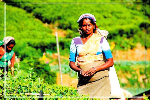 单身男女:一个人过节可以去的地方