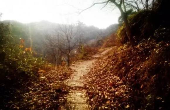中国最美古村在这里 - 九头鸟 - ...欢迎四方博客... 武汉周边最美的七条古道